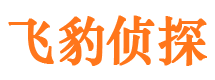 红安市婚外情调查